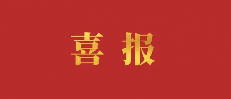 重慶市屬?lài)?guó)有企業(yè)戰(zhàn)略性重組專(zhuān)業(yè)化整合提速！重慶人力資源發(fā)展有限公司揭牌